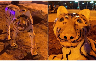 Linh vật ông hổ tại tỉnh Phú Thọ: Là hổ nhưng nó lạ lắm